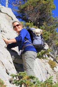 Lhotse climbing