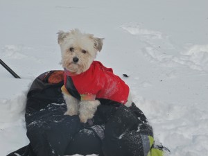 Lhotse staying warm